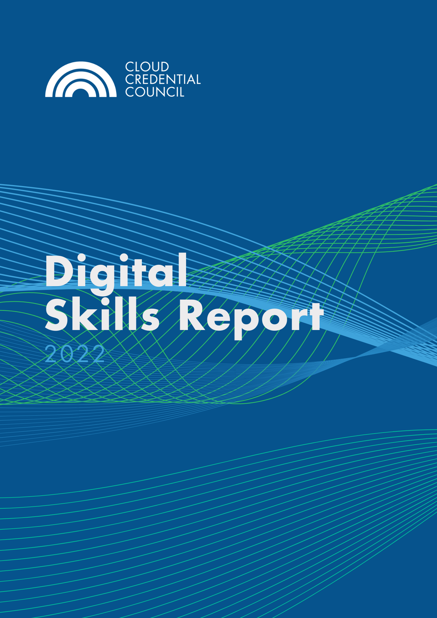 Digital Skills Report 2022