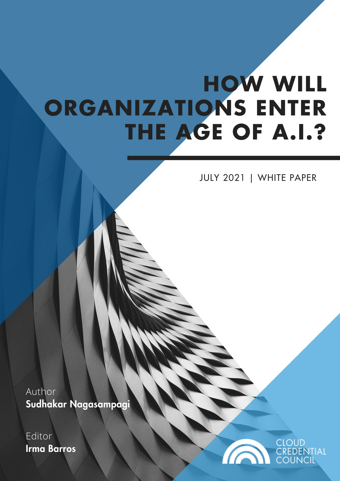 White Paper - How will Organization Enter the Age of AI